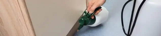 Bed bug exterminator treating baseboards and cracks with targeted spray in Cedar Rapids, IA