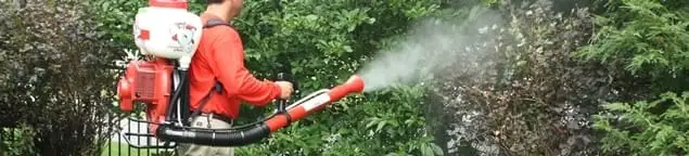 Mosquito control technician fogging shrubs and landscaping for mosquito treatment in Cedar Rapids, IA