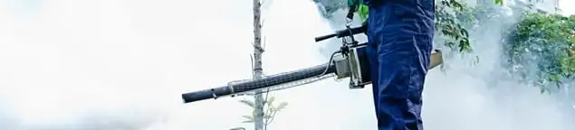 Pest control technician fogging an outdoor area for insect control in Cedar Rapids, IA
