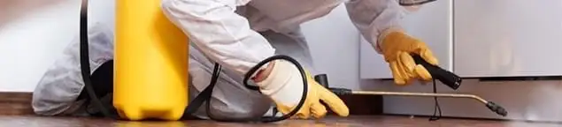 Roach exterminator treating cracks and crevices along kitchen baseboards in Cedar Rapids, IA
