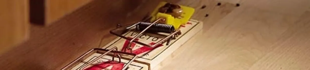 Rodent trap set indoors for rodent control and prevention in Cedar Rapids, IA